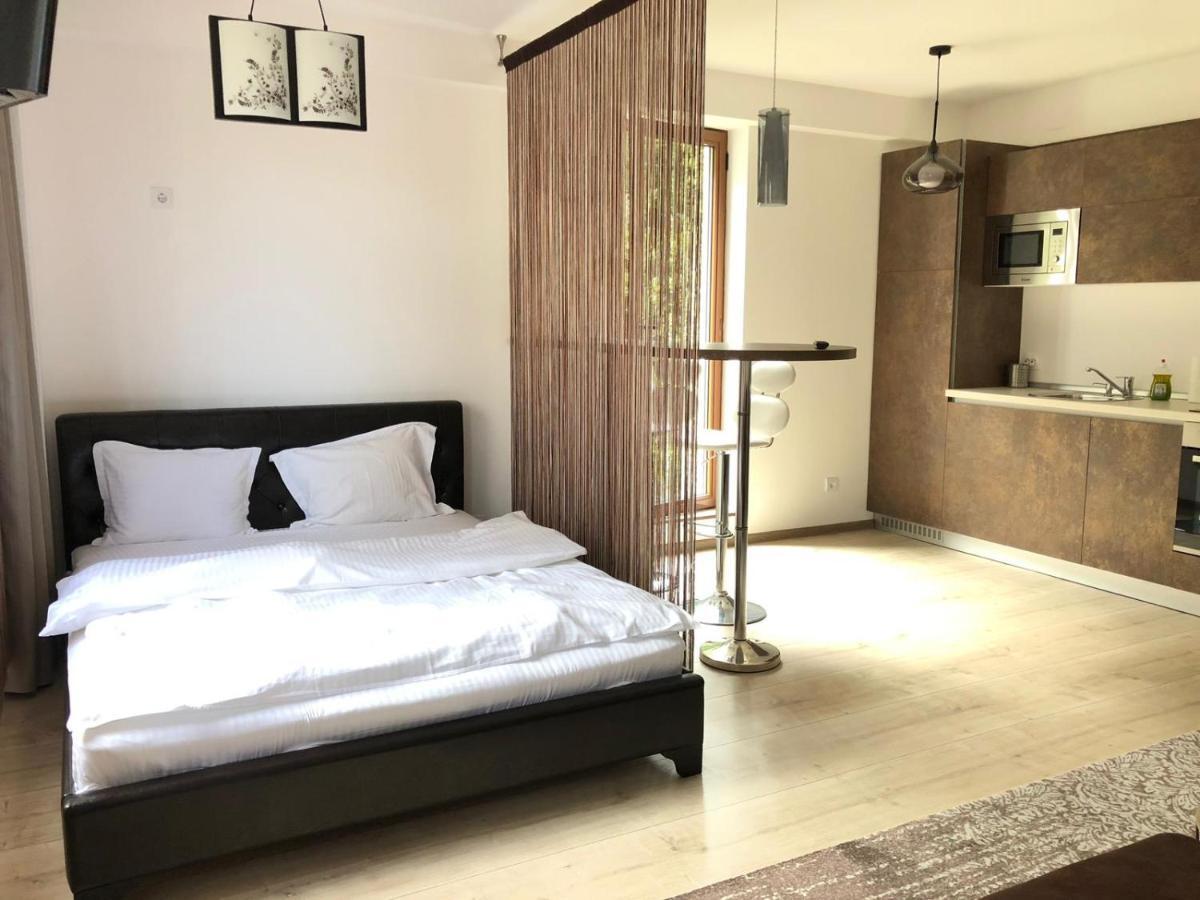 Iq Studio - Seasons Residence Braşov Eksteriør billede